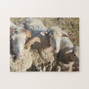 Cute Sheep Family Animals Lamb Jigsaw Puzzle