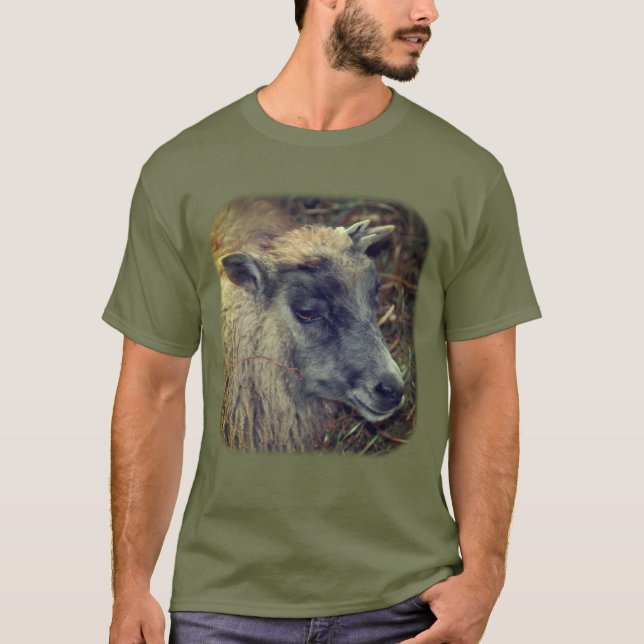 Cute Sheep Farm Animal  T-Shirt (Front)