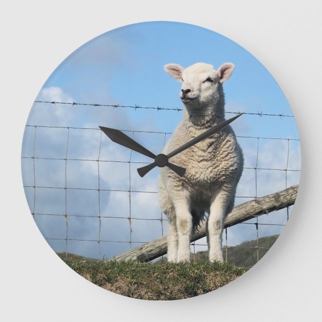 CUTE SHEEP LARGE CLOCK (Front)