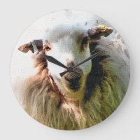 CUTE SHEEP