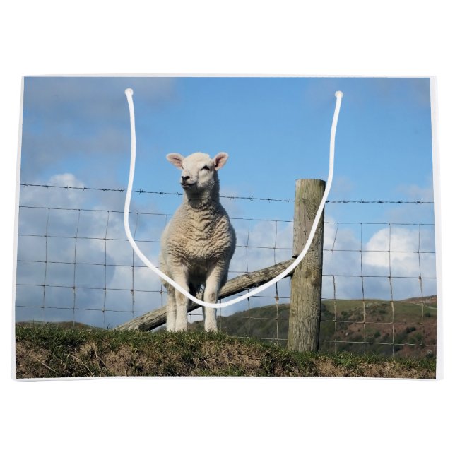 CUTE SHEEP LARGE GIFT BAG (Front)