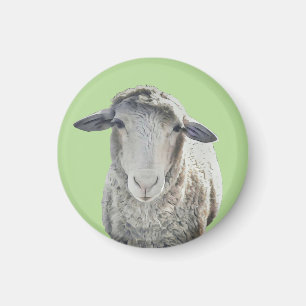 Cute Sheep Magnet