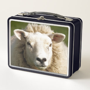 CUTE SHEEP METAL LUNCH BOX