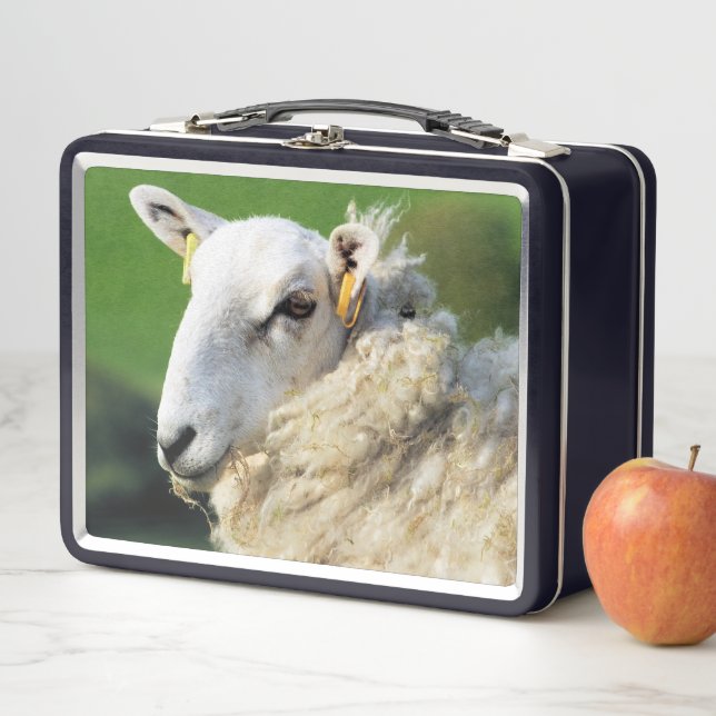 CUTE SHEEP    METAL LUNCH BOX (In Situ)