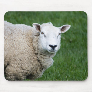 Cute Sheep Mouse Pad