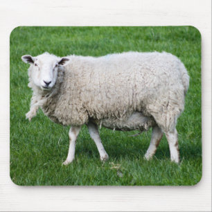 Cute Sheep Mouse Pad