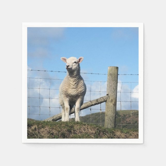 CUTE SHEEP NAPKIN (Front)
