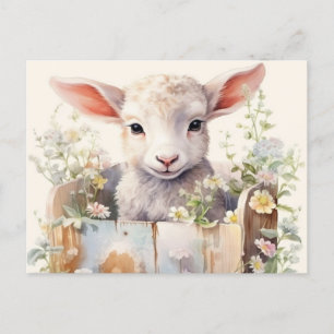 Cute Sheep Nestled In A Box Postcard