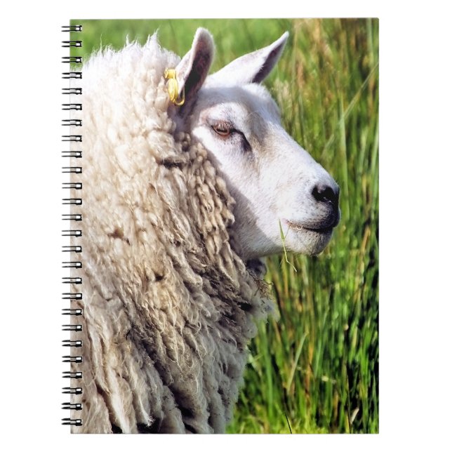 CUTE SHEEP NOTEBOOK (Front)