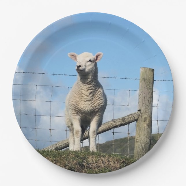 CUTE SHEEP PAPER PLATE (Front)