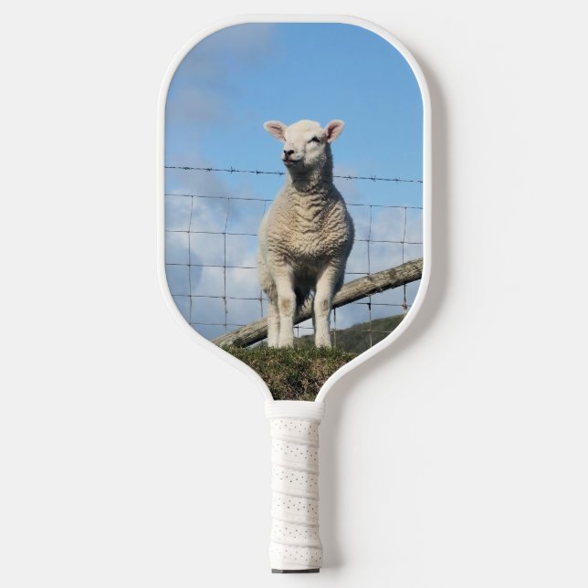 CUTE SHEEP  PICKLEBALL PADDLE (Front)