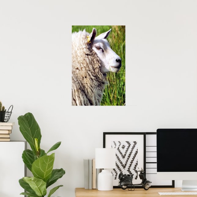 CUTE SHEEP POSTER (Home Office)