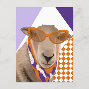 Cute Sheep With Glasses Postcard