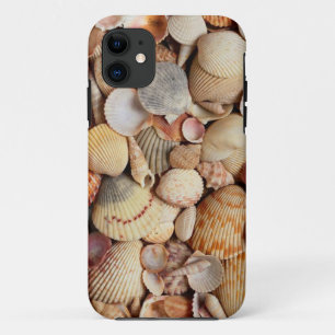 Cute Shell iPhone 5/5s case