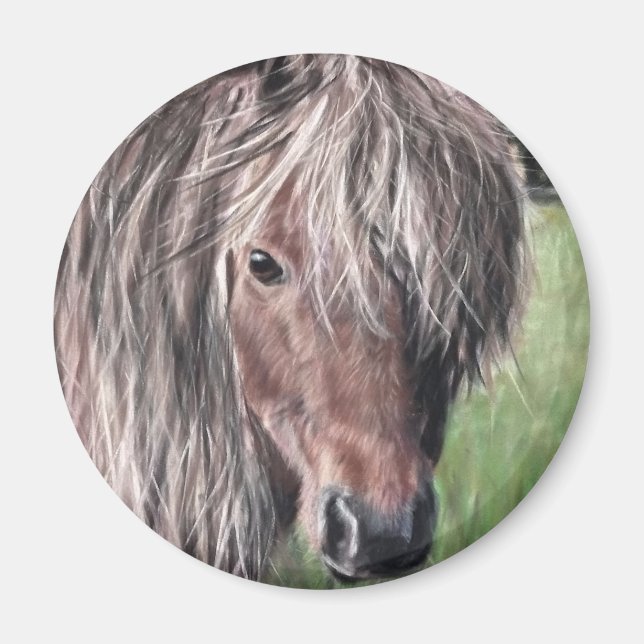 Cute Shetland Pony Magnet (Front)
