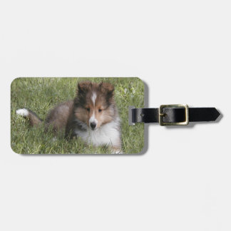 Cute Shetland Sheepdog puppy lying in grass Luggage Tag
