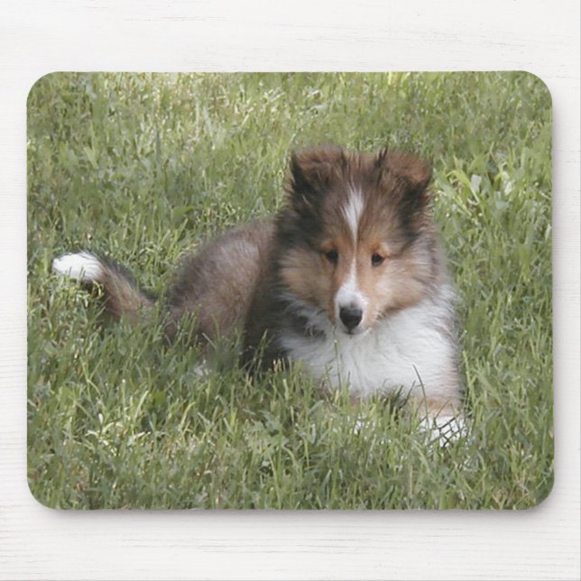 Cute Shetland Sheepdog puppy lying in grass Mouse Pad (Front)