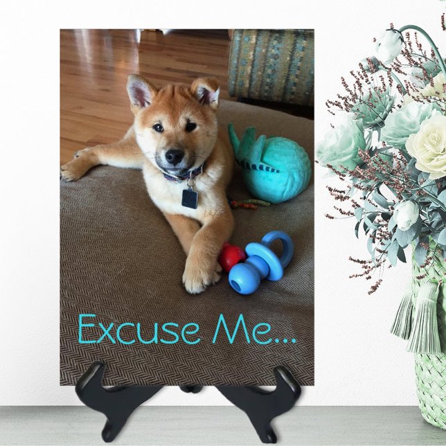 Cute Shiba Inu Puppy with Toys Photo Template (Creator Uploaded)