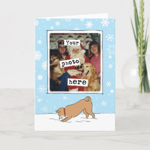 Cute Shiba Inu Winter Holiday Photo Template