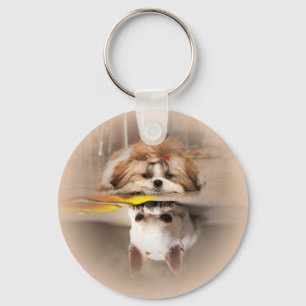 Cute shih tzu and chihuahua key ring