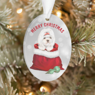 Cute Shih Tzu Dog Gift Surprise Ornament