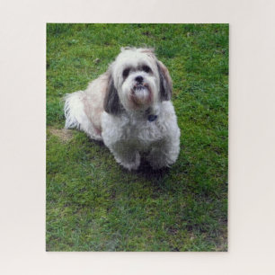 Cute Shih Tzu Fluffy Dog Picture Photo Template Jigsaw Puzzle