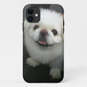 Cute shih tzu looking at the camera iPhone 11 case