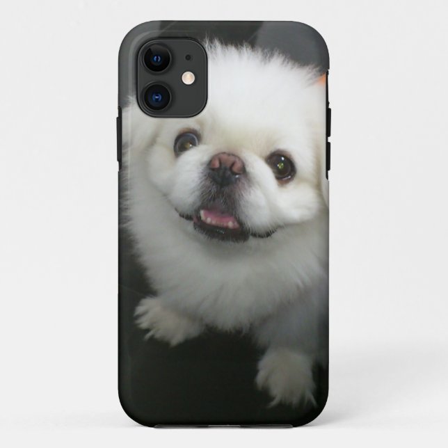 Cute shih tzu looking at the camera Case-Mate iPhone case (Back)