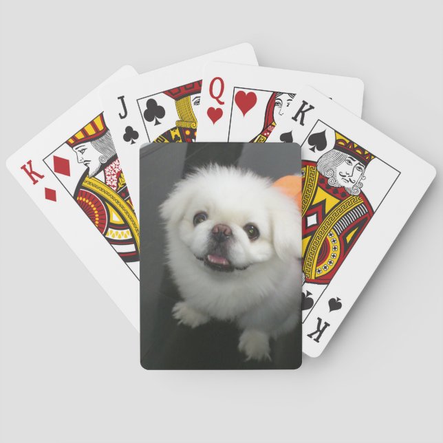 Cute shih tzu looking at the camera playing cards (Back)