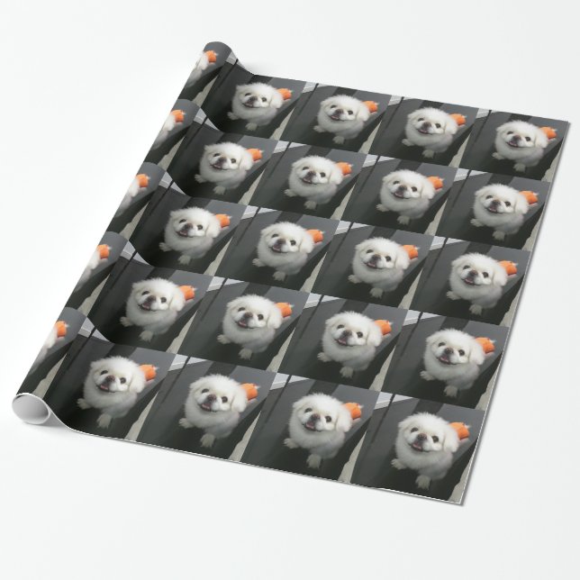 Cute shih tzu looking at the camera wrapping paper (Unrolled)