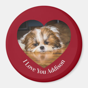 Cute shih tzu love Valentine heart photo Magnet