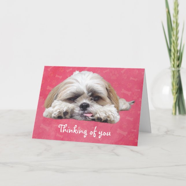 Cute Shih Tzu Puppy: Thinking of You Card (Front)