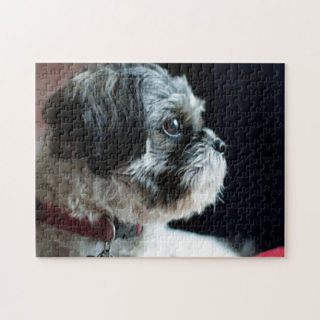 Cute Shih Tzu Puzzle (Horizontal)