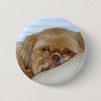 Cute Shitzu 6 Cm Round Badge