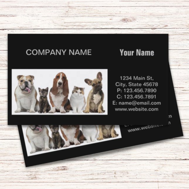 cute short hair cat friends basset hound bull dog business card (cute short hair cat friends basset hound bull dog business card)