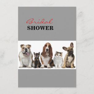 cute short hair cat friends basset hound bull dog invitation
