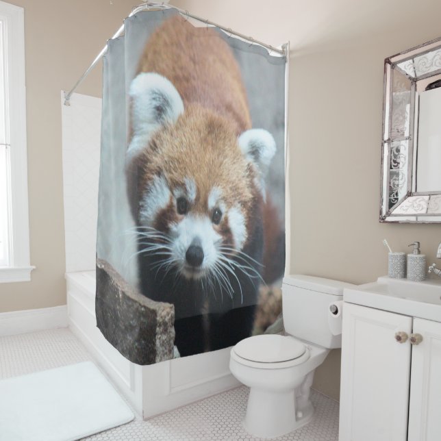 Cute Shower Curtain (In Situ)