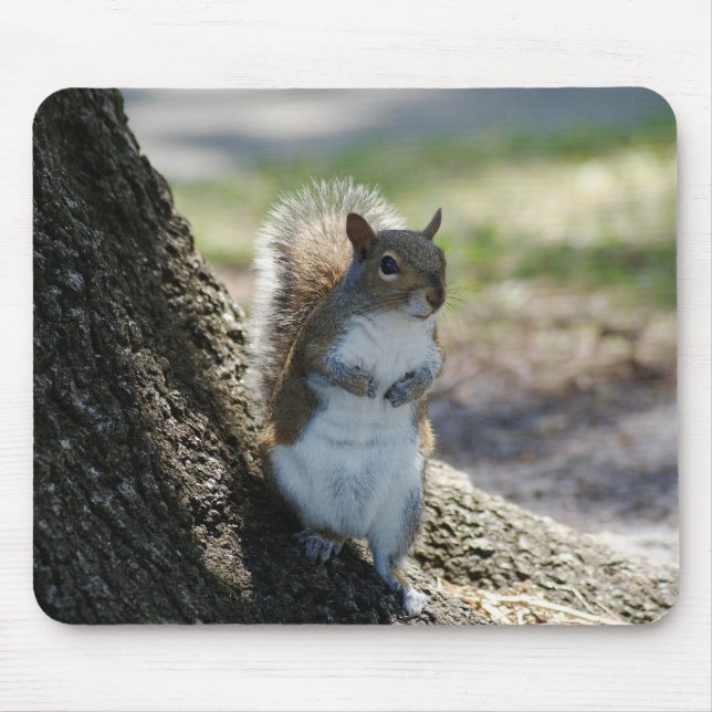 Cute, Shy Squirrel mousepad (Front)