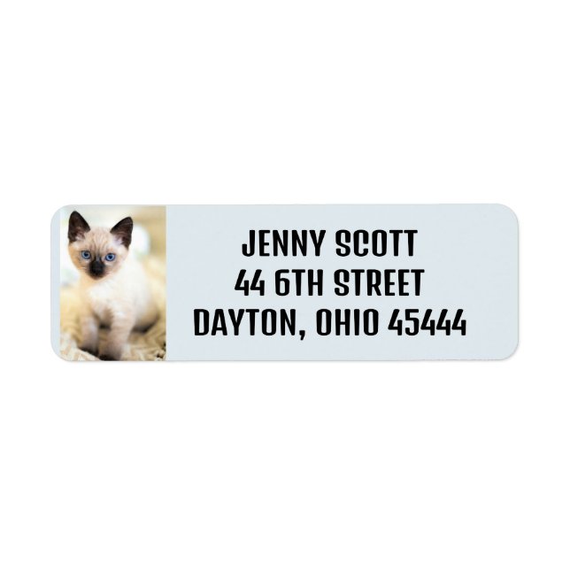 CUTE SIAMESE  CAT KITTEN RETURN ADDRESS LABELS (Front)