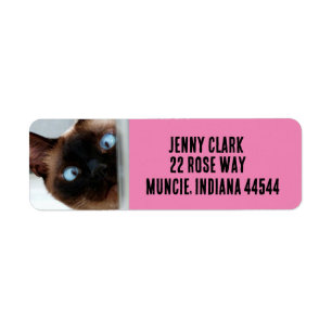 CUTE SIAMESE CAT PEEKING  RETURN ADDRESS LABELS