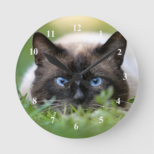 Cute Siamese Cat Photo Round Clock (Front)