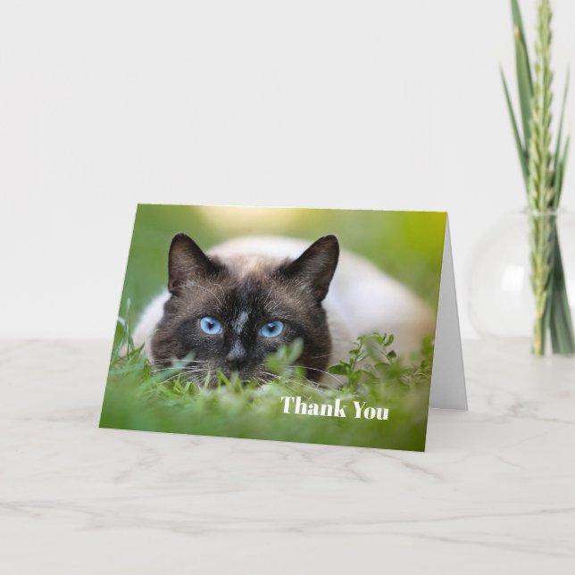 Cute Siamese Cat Photo Thank You Card (Front)
