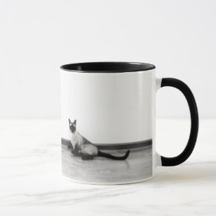 CUTE Siamese Cat Photograph Mug
