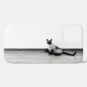 CUTE Siamese Cat Portrait Photograph iPhone 12 Case