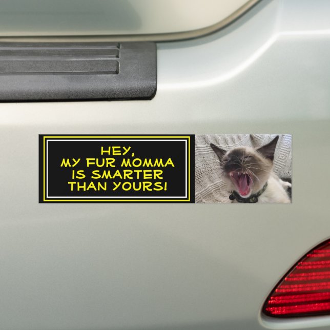 Cute Siamese Kitten Close-Up Photo Template Bumper Sticker (On Car)