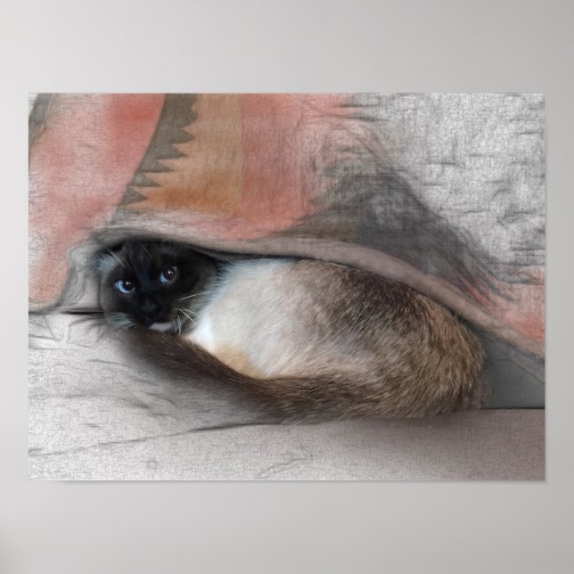Cute Siamese Kitten Under A Blanket Sketch Poster (Front)