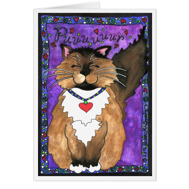 Cute Siamese Ragdoll Kitty Cat (Front)