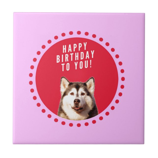 Cute Siberian Husky Dog Wishing Happy Birthday Ceramic Tile (Front)