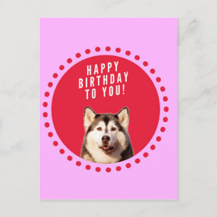 Cute Siberian Husky Dog Wishing Happy Birthday Postcard