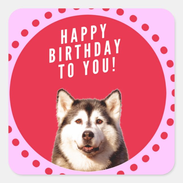 Cute Siberian Husky Dog Wishing Happy Birthday Square Sticker (Front)